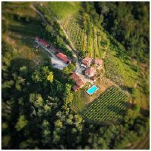 Agriturismo Tenuta MonteOliveto