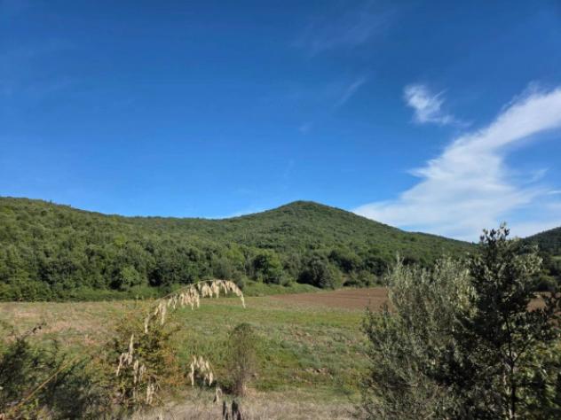 Immobile in asta di 684931 m² in vendita a Francolise - Foto 6