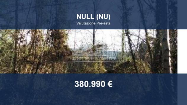 Immobile in asta di 141580 m² in vendita a Nule