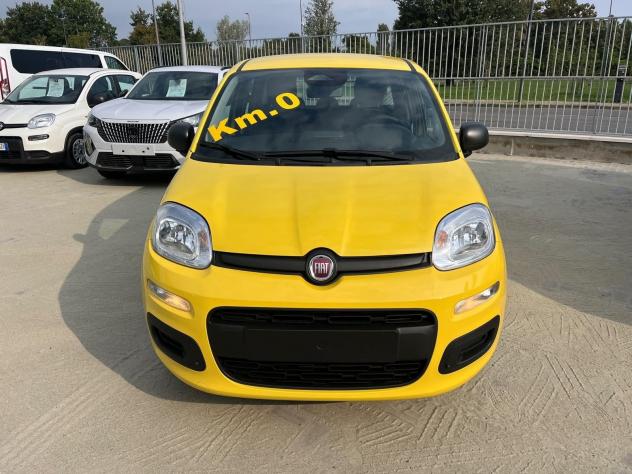 FIAT Pandina Pandina 1.0 firefly hybrid Icon s&s 65cv - Foto 2