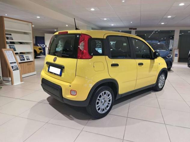 Fiat Panda Pandina III 2024 Pandina 1.0 firefly hybrid s - Foto 6