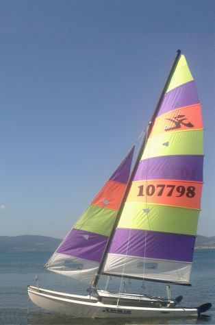 Hobie cat 16 usato