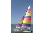 Hobie cat 16 usato