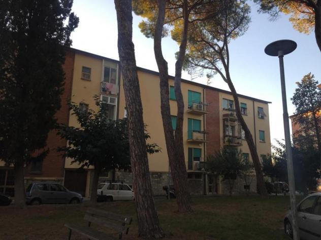 Appartamento in vendita a Pisa 95 mq Rif: 1262395