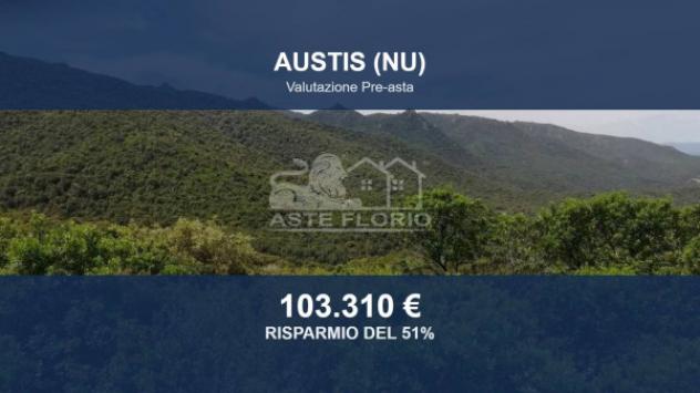 Immobile in asta di 435732 m² in vendita a Austis