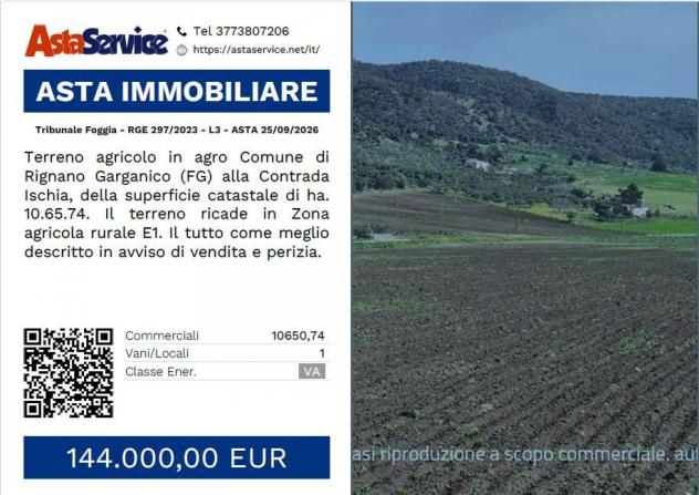 Tribunale Foggia - RGE 297/2023 - L3 - Tribunale Foggia - RGE 297/2023 - L3 - ASTA 25/09/2026