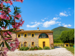 Rustico in vendita a Colognole - San Giuliano Terme 350 mq  Rif: 1409950