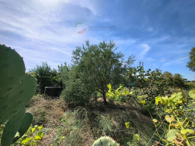 Terreno Agricolo - San Giovanni in Marignano . Rif.: Terrasgm10 - Foto 9