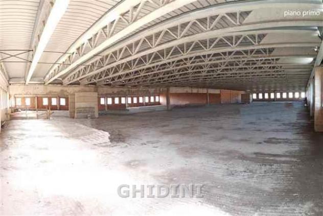 CAPANNONE di 2 vani e di 2220 mq (GROSSETO - AURELIA NORD) rif. 2312.324M - Foto 9