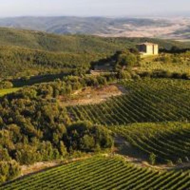 Impresa Edile Martelli