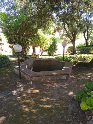 Villa pescia 850 - Villa a Pescia - Collodi - Foto 10