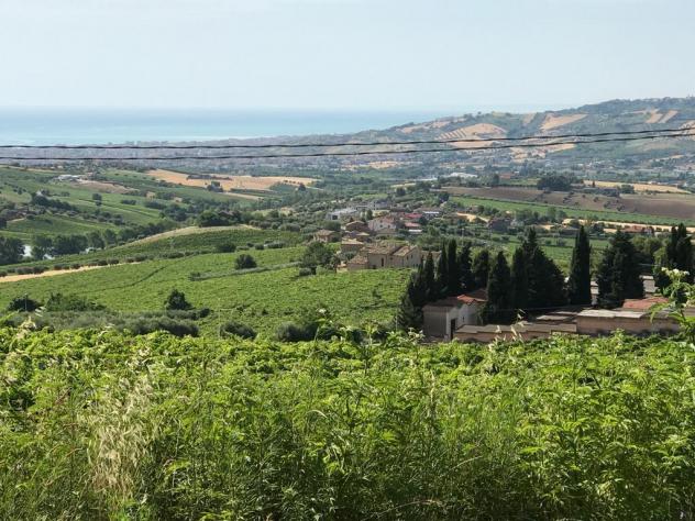 Agricolo in vendita a Colonnella - Foto 13