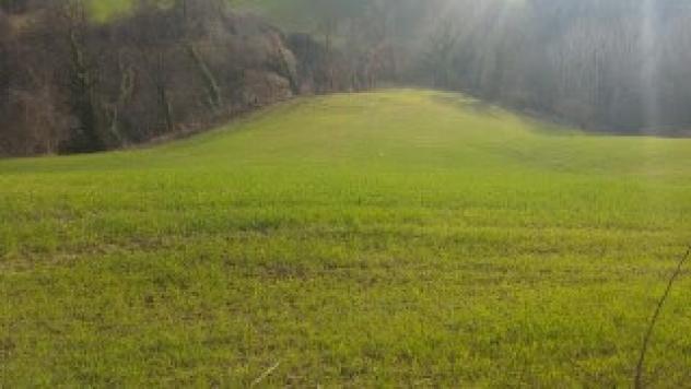 Seminativo in vendita a Mondavio - Foto 2