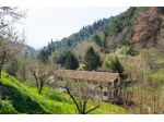 Casale in vendita a Molina di Quosa - San Giuliano Terme 800 mq Rif: 1310607