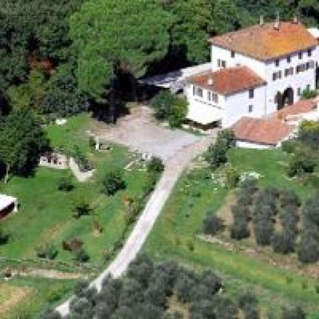 Antico Frantoio Toscano del Rio Grifone S.r.l.
