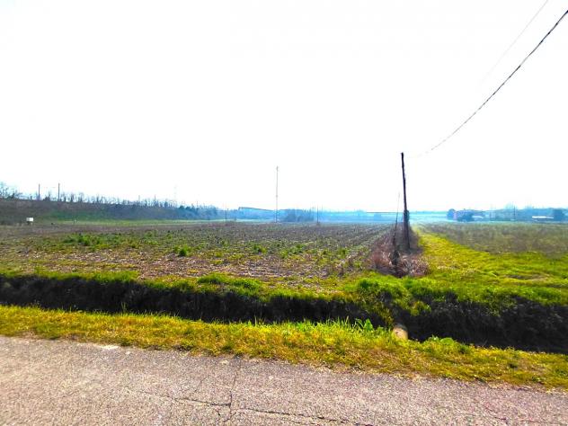 Agricolo in vendita a Boara Pisani - Foto 5