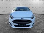 Ford Fiesta Fiesta 5p 1.4 Black&White GPL 95cv