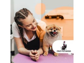 Corso Toelettatore a Palermo con Stage Garantito