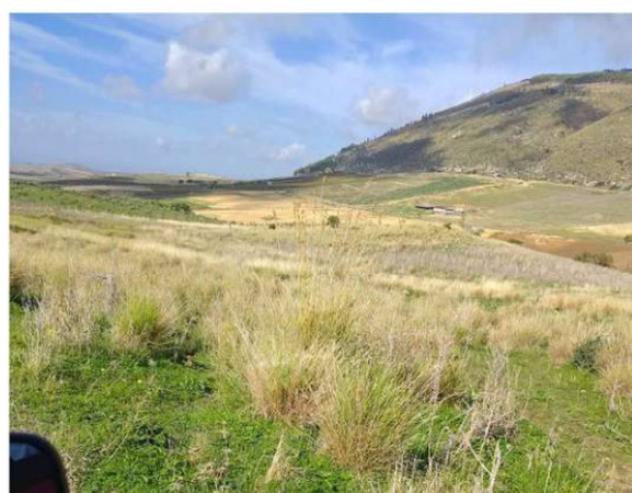 Immobile in asta di 155290 m² in vendita a Salemi - Foto 5