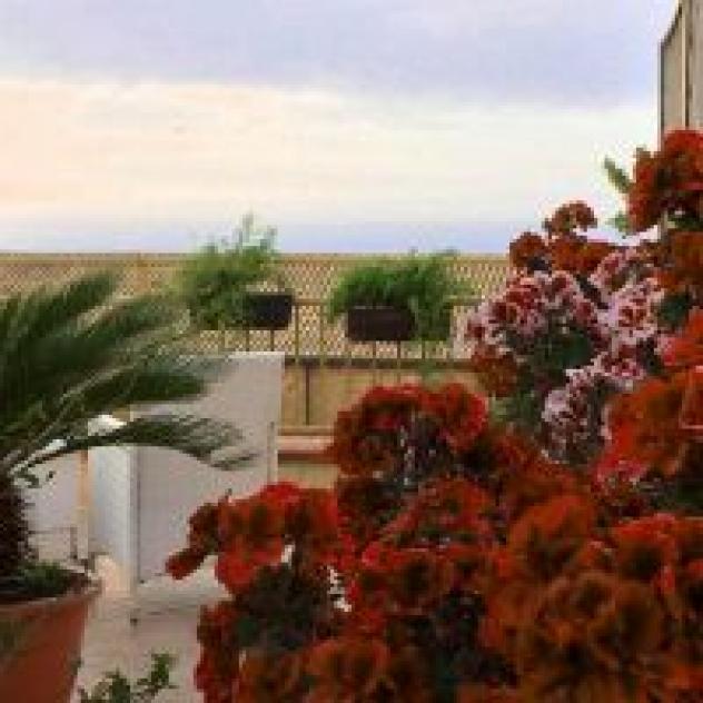 B&B Portatenea
