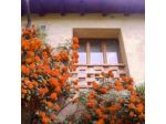 B&B Strada del Collalto