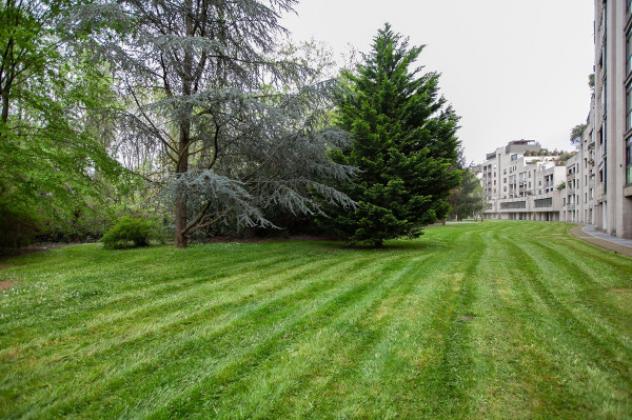 Appartamento di 110 m² con 4 locali in affitto a Torino - Foto 4