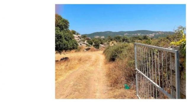 Immobile in asta di 71470 m² in vendita a Bortigiadas - Foto 4