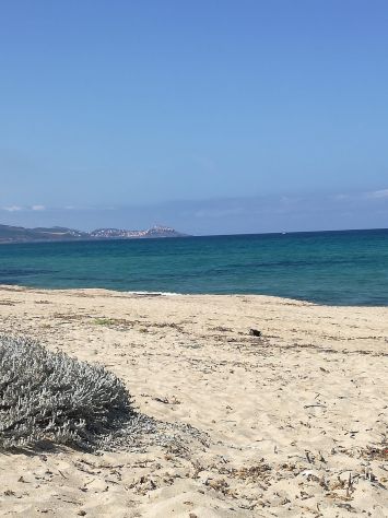 Costa Nord-Golfo dell’Asinara Sardegna - Foto 10
