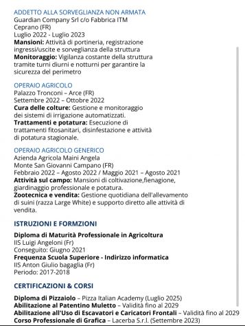Cerco lavoro - Foto 2