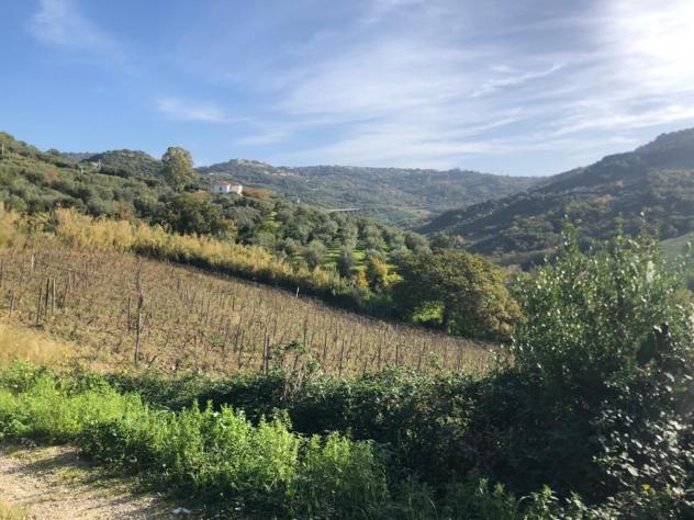 Agricolo in Destre - Foto 9