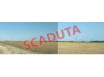 Immobile in asta di 39 m² in vendita a Brindisi