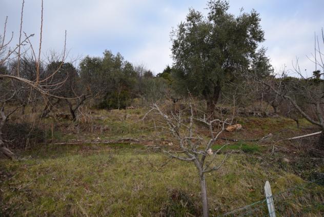 TERRENO AGRICOLO di 4807 mq (MONTEBELLUNA) rif. ZT38G_49 - Foto 4
