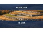 Immobile in asta di 15975 m² in vendita a Narcao