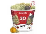 Christmas Kit - 30g