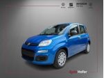 FIAT Pandina 1.0 Hybrid ICON Radio Clima 5P **AKTION** rif. 23482031