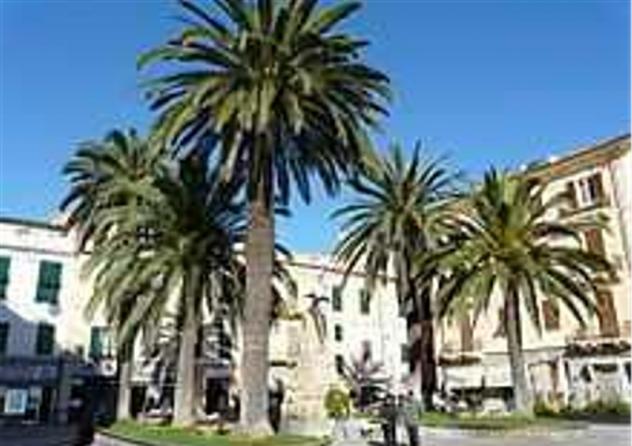 Loano vendesi appartamento 3 vani 75 Mq - Foto 3
