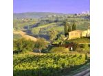 Agriturismo La Lucciolaia