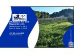 Immobile in asta di 3420 m² in vendita a Buseto Palizzolo
