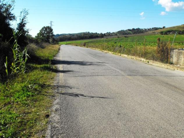 Agricolo in Via Salicuneta - Foto 3