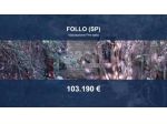 Immobile in asta di 115688 m² in vendita a Follo