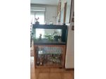 ACQUARIO