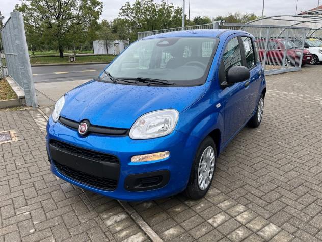 FIAT Panda 1.0 FireFly 70cv S&S Hybrid Pandina Icon