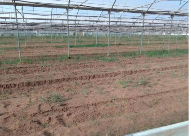 Immobile in asta di 5567 m² in vendita a Sabaudia - Foto 9