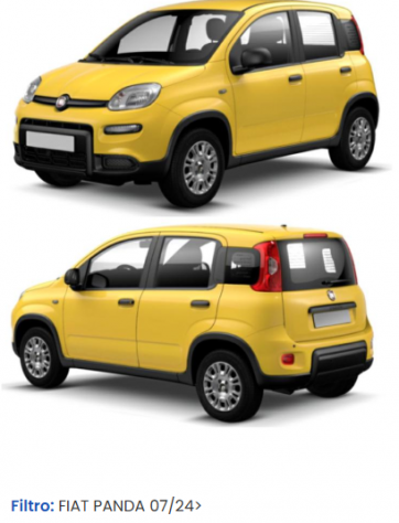 MUSATA COMPLETA MUSO FRONTALE FIAT PANDA 2024