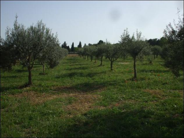 Agricolo in vendita a Palazzolo Acreide