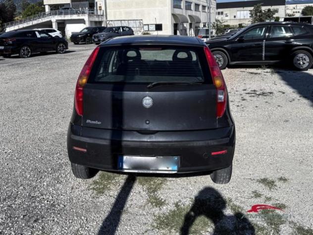 FIAT Punto 1.2 5 porte Actual - PER OPERATORI DEL SETTORE rif. 24062303 - Foto 4
