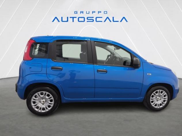 FIAT New Panda Pandina 1.0 FireFly 65 CV Hybrid Icon rif. 24157230 - Foto 3