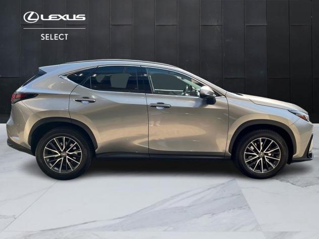 Lexus NX Hybrid Premium 4WD MY22 - Foto 3