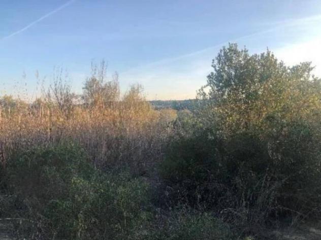 Immobile in asta di 2485532 m² in vendita a Pisticci - Foto 9