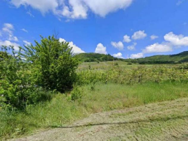 Immobile in asta di 2535 m² in vendita a Borgoratto Mormorolo - Foto 2